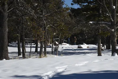 DSC_4908 (Large).JPG